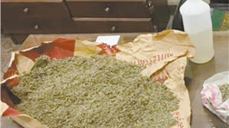 عاطل البساتين وقع في الكمين