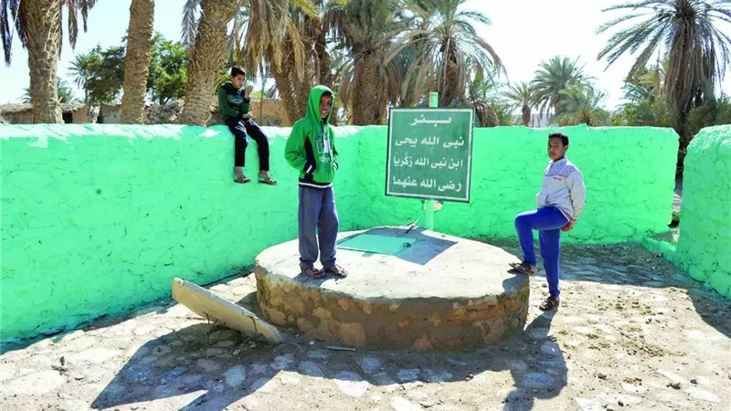 ريحان يطالب بتطوير بئر يحيى بطور سيناء