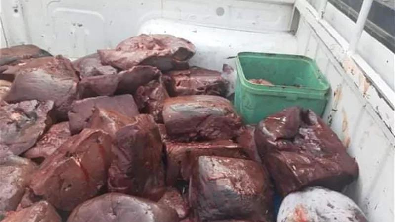صحة القاهرة :تحرير 51 محضر بإجمالي وزن 10 طن و500 كجم من لحوم وكبده ودواجن وأسماك منتهية الصلاحية