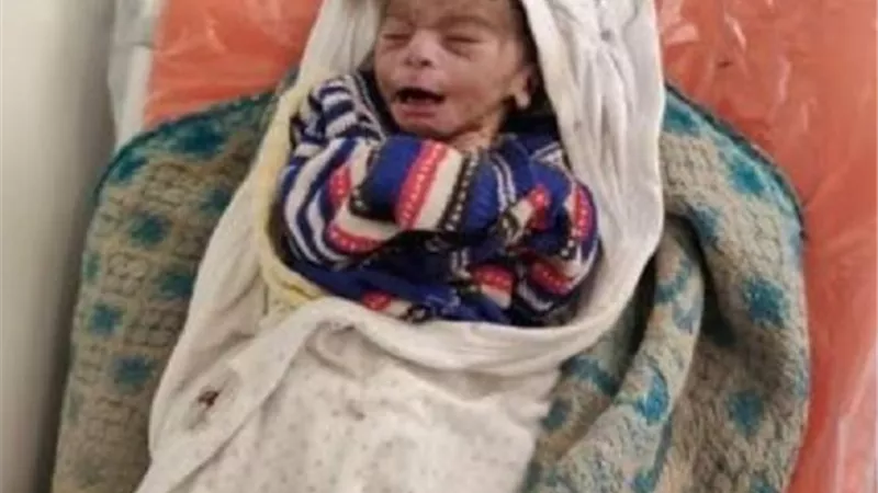 العثور على رضيع ملقى بالزراعات الشاورية بنجع حمادى