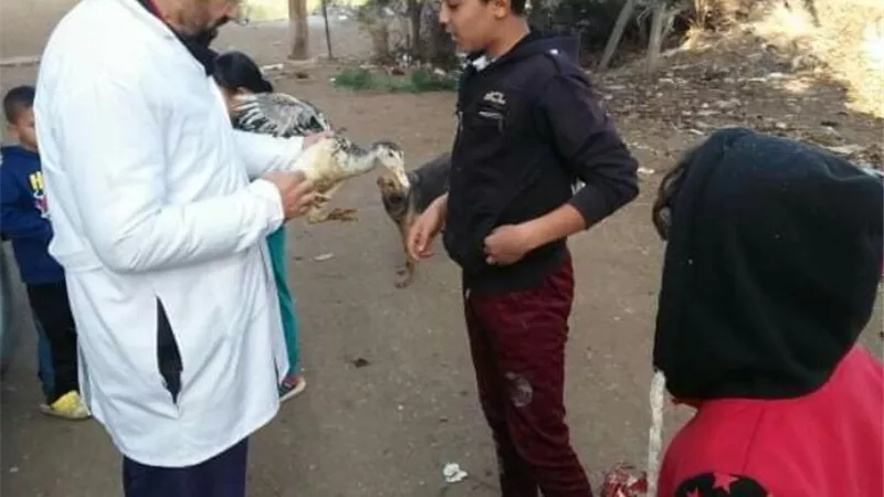 قوافل بيطرية من جامعة الزقازيق للقري الاكثر احتياجا بالشرقية