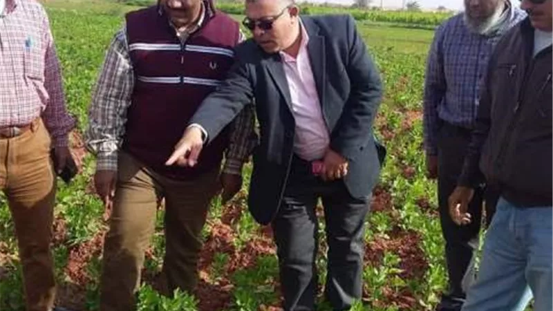 وكيل زراعة الوادى الجديد يتفقد حقول بلاط والداخلة الارشادية.صور