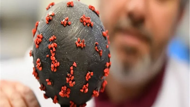 علماء يعثرون على نقطة ضعف في فيروس كورونا