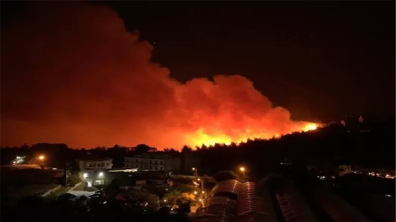 حريق كبير بكاليفورنيا يلتهم زراعات 3 آلاف فدان ويتسبب فى إجلاء 7 آلاف مواطن
