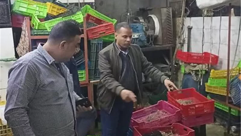 ضبط مجزر للدواجن غير مرخص ويحتوي دواجن مجمدة فاسدة بالعمرانية