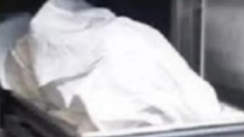 مصرع شخص بعد سقوطه من أعلي لودر باحدى قرى الدقهلية