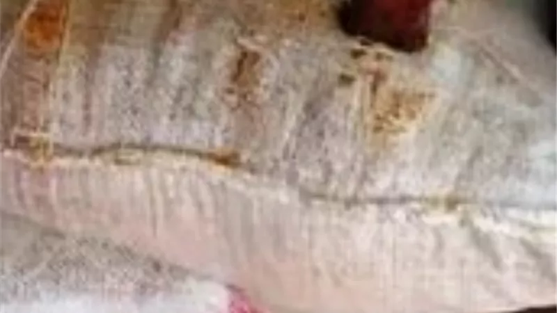 ضبط طن و٢٢٥ كيلو مواد غذائية فاسدة ومجهولة المصدر داخل مدشة لتصنيع أعلاف الأسماك بالحسينية