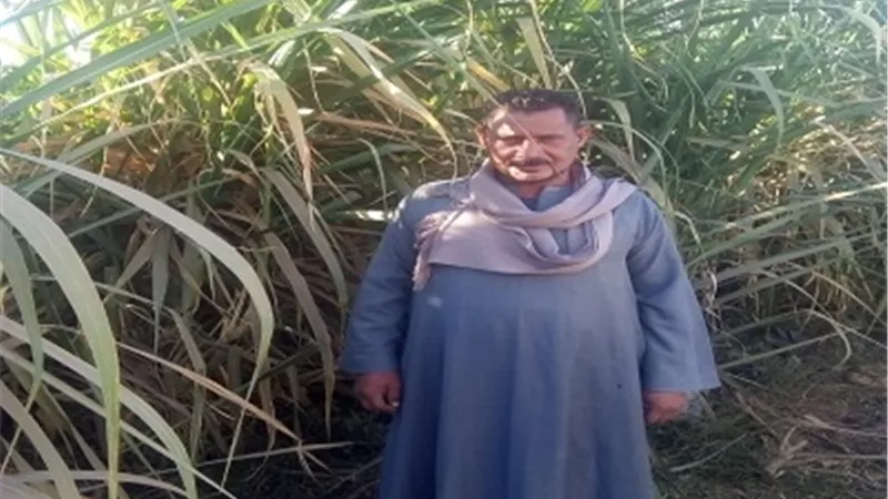 اهالى قنا: شكرا للرئيس السيسي..مد فترة التصالح جاء فى وقته