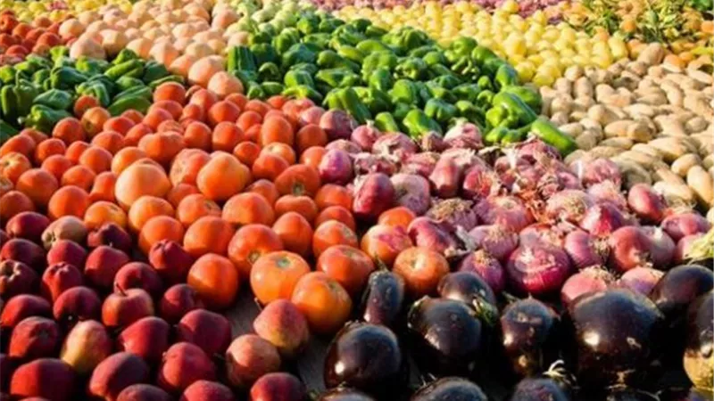الزراعة: صادرات مصر الزراعية لاول مرة تتجاوز الـ 5 مليون طن هذا العام رغم تفشى جائحة كورونا