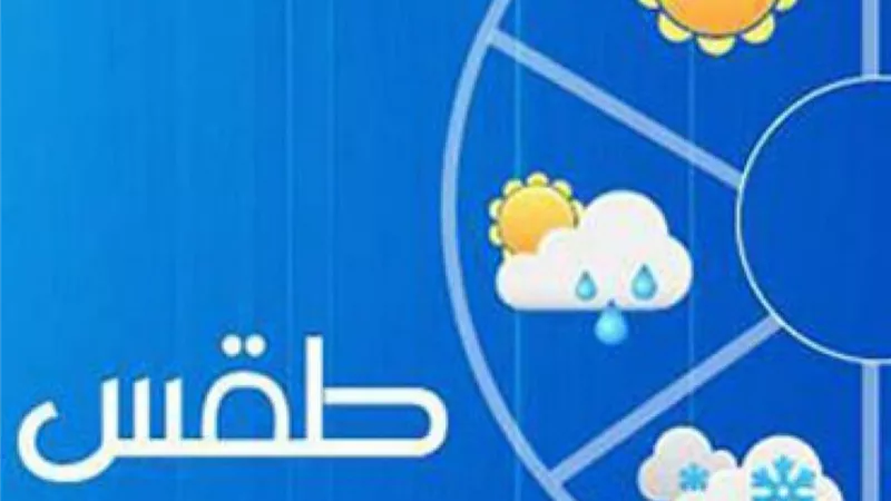 وداعا لاخبار النجوم والطقس .. تنظيم الاتصالات يطلق كود *155# لوقف الخدمات علي المحمول