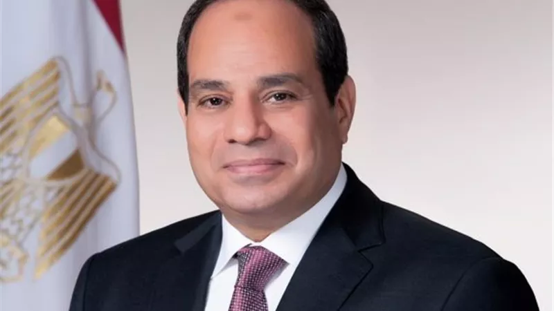 السيسي يهنيء الرئيس الجزائري بتعافيه من فيروس 