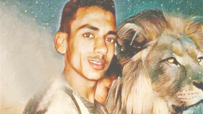 بلوك 26 