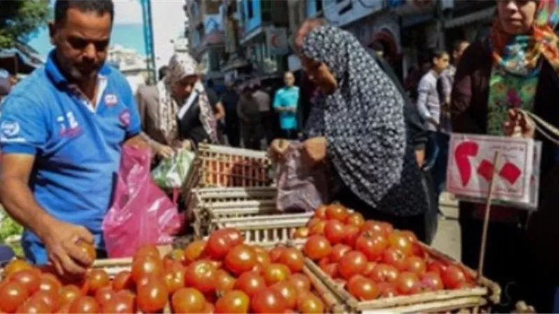 الطماطم تدخل البهجة على نفوس المصريين.. الكيلو بـ 2 جنيه .. والتجار : حركة البيع خفيفة بسبب كورونا