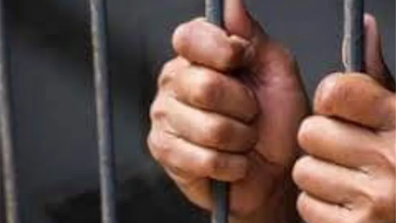 6 سنوات عقوبة الاتجار فى المخدرات بطور سيناء