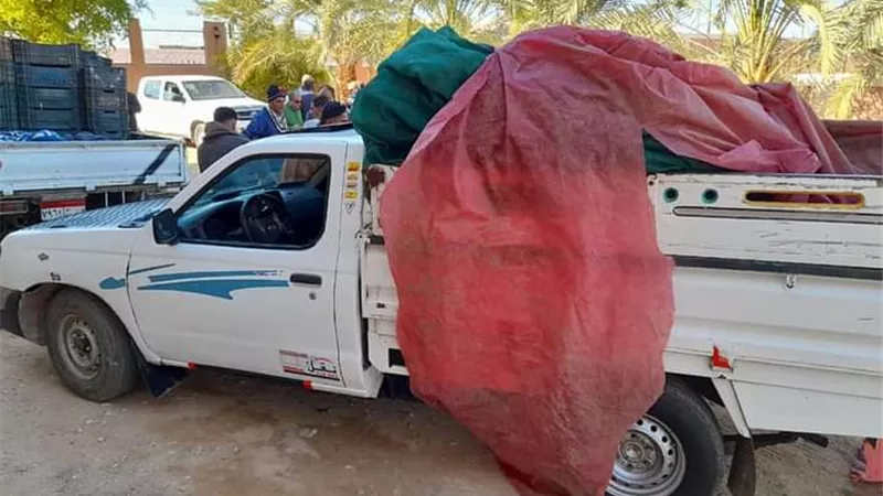 ضبط طن ونصف اسماك فاسدة في مداهمة لسيارتين بالوادى الجديد.