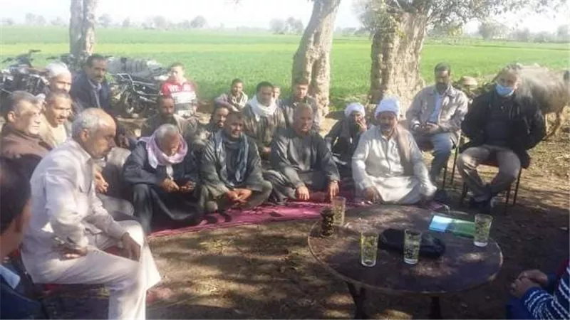 زراعة الشرقية تنفذ يوم حقل إرشادي عن محصول القمح بصان الحجر .صو