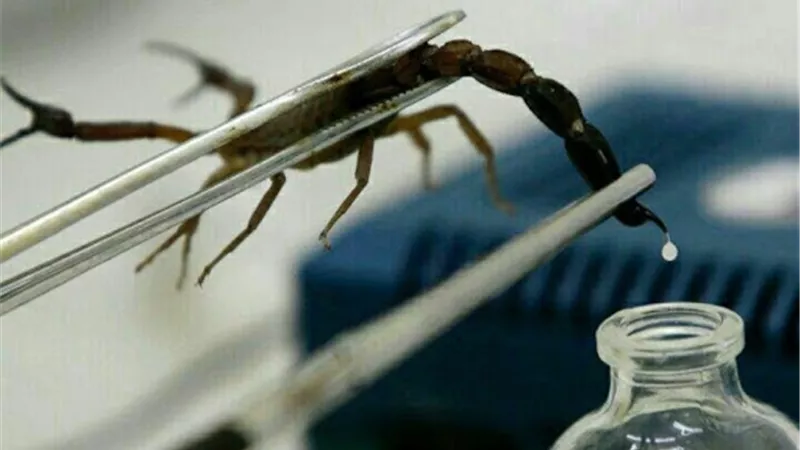 سم العقرب 