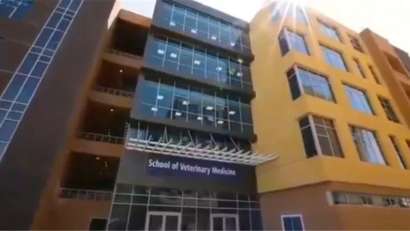 كلية الطب البيطرى بجامعة بدر تشارك فى برنامج سلامة الغذاء بأكاديمية البحث العلمى.. تعرف على الموعد بالصور