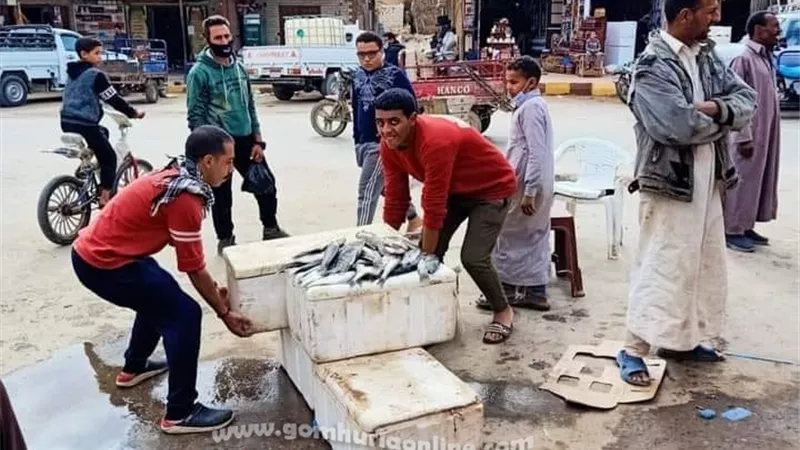 هل يجوز اخذ قرض من شخص لشراء سيارة؟ .. دار الإفتاء تجيب