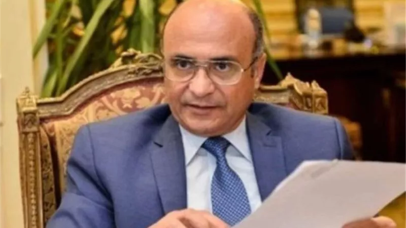 وزارة العدل تنجح في إعادة طفل لحضانة والدته القبرصية