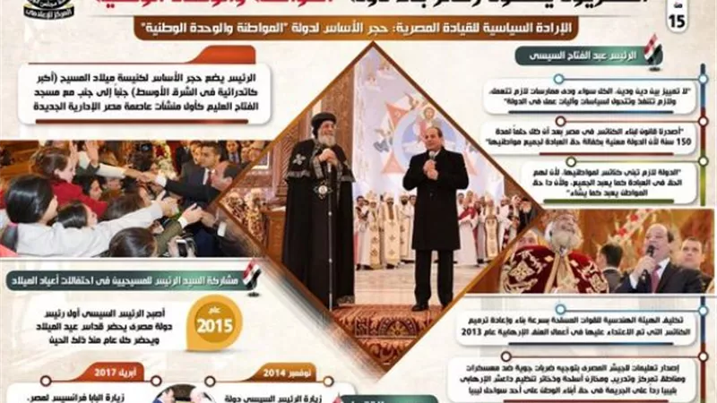 بالإنفوجراف... المصريون يضعون ركائز بناء دولة 