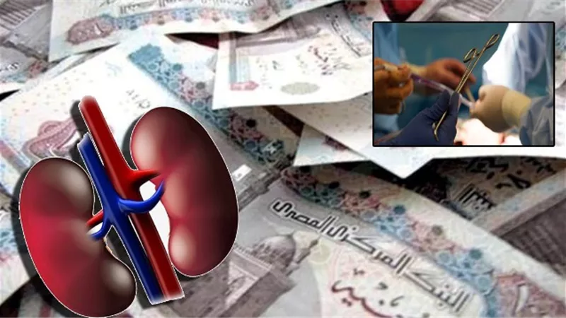 جرمها القانون وحرمها الدين.. تجارة الأعضاء.. يمارسها مجرمون وضحاياها الفقراء