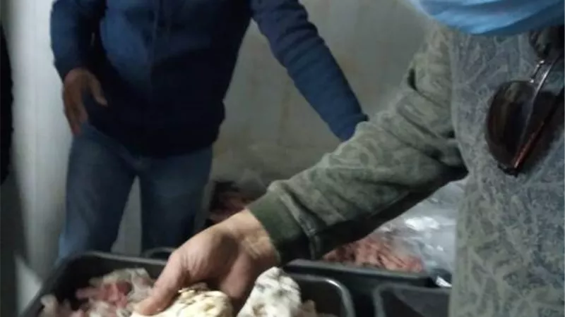 قبل فرمها لتصنيع الكفته والسجق والبرجر .. ضبط طن لحوم غير صالحة للإستخدام الأدمي بالمنوفية.. صــــور