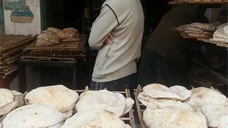 تحرير ١٩ محضر استيلاء على الدعم بدمياط