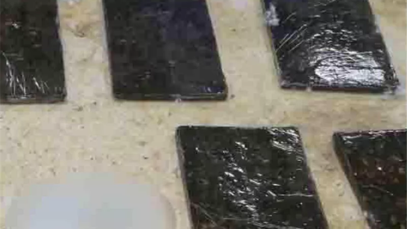 مباحث محور قناة السويس تضبط كيلو حشيش داخل اتوبيس