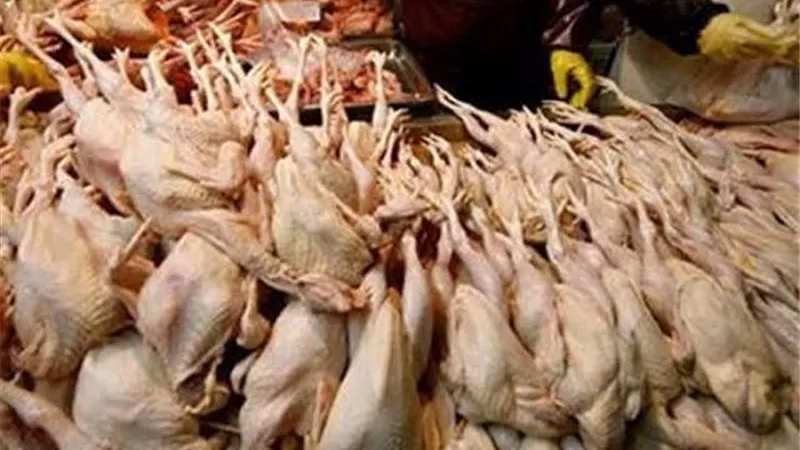 ضبط 2.8 طن لحوم ودواجن فاسدة بالقليوبية