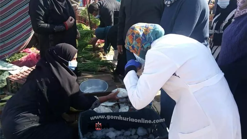 لجنة الاشراف على الاسواق بالعاشر: ضبط ٢٠٠ كيلوا اسماك فاسدة واغذية منتهية الصلاحية