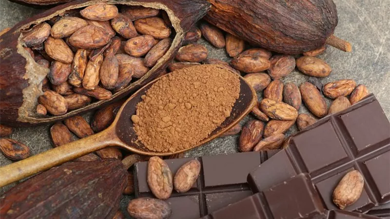 الكاكاو يمدك بكم هائل من الكالسيوم والفسفور ويعزز مناعتك