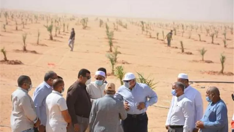 شريان العطاء يخترق الصحراء لدعم آلاف الأسر والايتام بالواحات.. صور