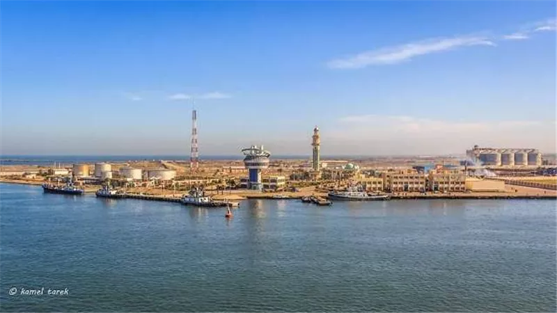 وصول ميناء دمياط 67949 طن حبوب واخشاب