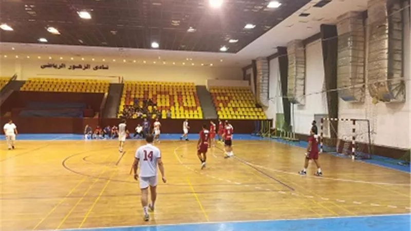 وفد من الصحة العالمية يطمئن علي الاجراءات الاحترازية لمونديال اليد بالاسكندرية