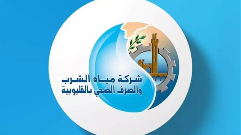 مياه القليوبية تعلن أكواد تسديد الفواتير بخدمة فورى