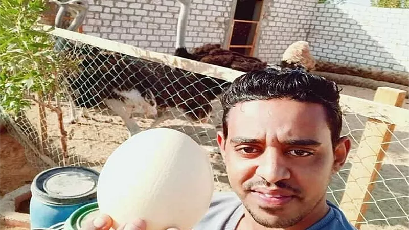 رغم المعوقات.. أصغر شاب بالواحات حول الكثبان الرملية لمزرعة نعام نموذجية