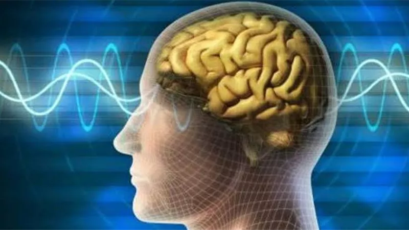 تناولها باستمرار.. أطعمة تفيدك فى التركيز وتعزز وظائف الدماغ