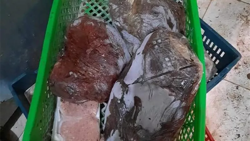 ضبط طن و 300 كجم لحوم فاسدة بالمنوفية