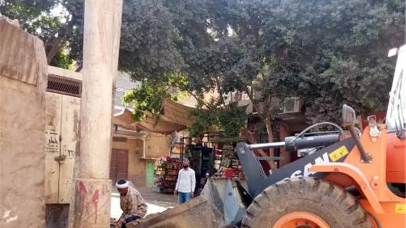 رفع 300 متر مكعب مخلفات بأرمنت جنوب غرب الأقصر .صور