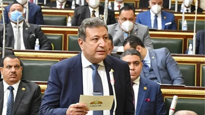 النائب طارق شكري: دور مجلس النواب المساعدة في استكمال المسيرة الناجحة للاقتصاد المصري