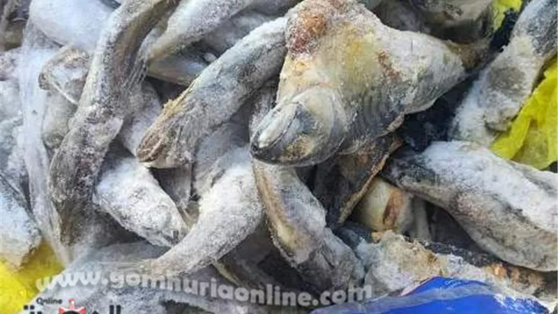 احباط بيع دقيق مدعم في السوق السوداء وأسماك فاسدة بالاسماعيلية