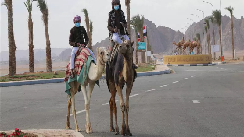 جنوب سيناء تحتفل بالذكرى الأولى لإفتتاح مضمار الهجن الدولى بمدينة شرم الشيخ
