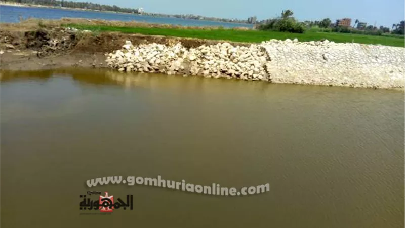 مجلس الوزراء يوافق علي تجديد التعاقد بحق الانتفاع للمزرعة السمكية بدمياط