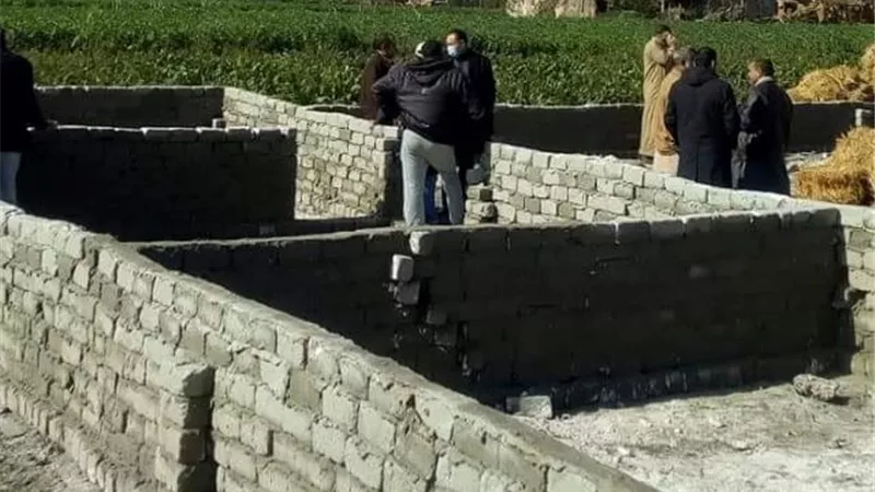 إزالة تعدى على الارض الزراعية فى الحامول.. بالصور