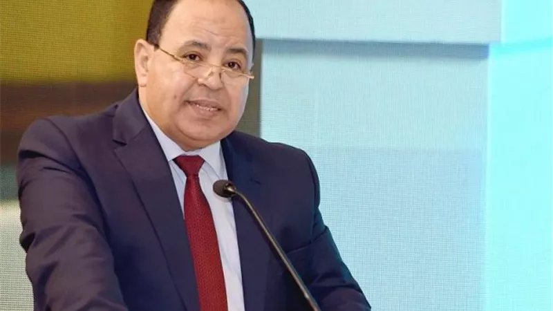 وزير المالية : تطوير الموانئ المصرية ورقمنة المنظومة الجمركية .. لتسهيل إجراءات الإفراج عن البضائع