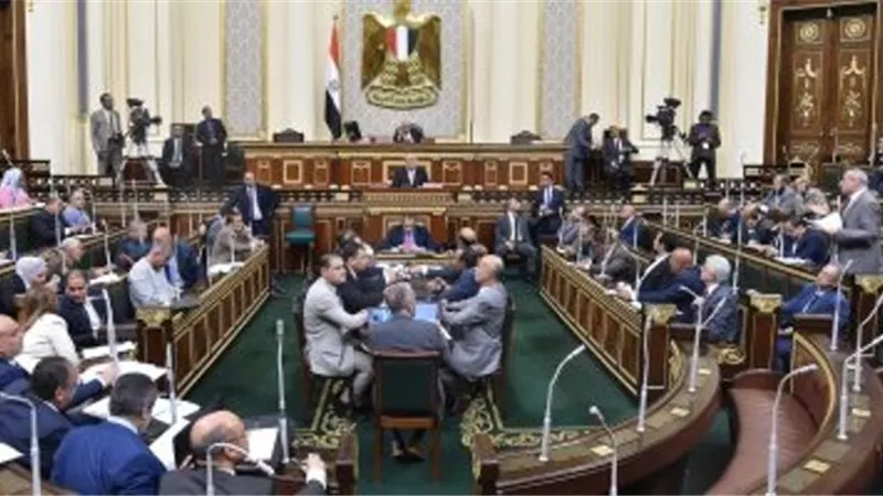 النواب يتناول الاستجواب الاول حول تصفية الحديد والصلب بحلوان