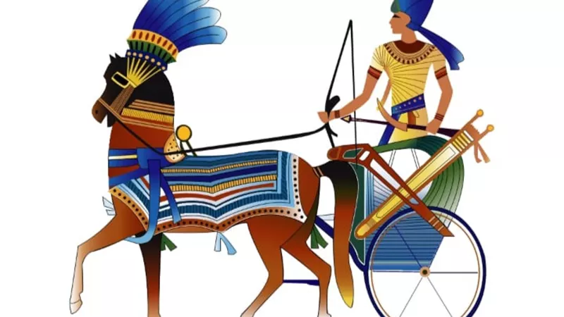 الإنتاج الحربي تطلق الفيديو الرابع من 