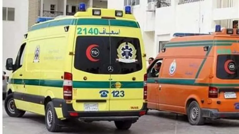 مصرع وإصابة ١٢ عاملا فى انقلاب سيارة بالشرقية