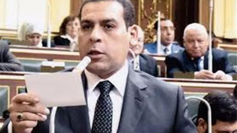 نائب: انشاء مدينة الذهب يعكس تاريخ مصر الحضارى فى الصناعات الحرفية الدقيقة